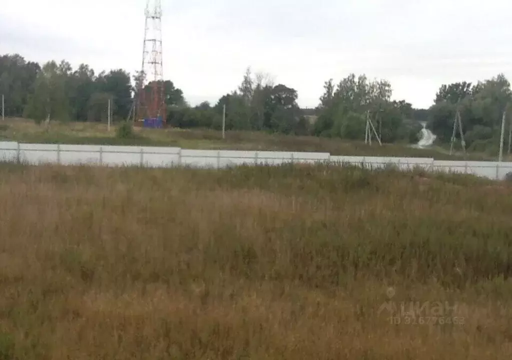 Участок в Московская область, Ступино городской округ, д. Хомутово ул. ... - Фото 1