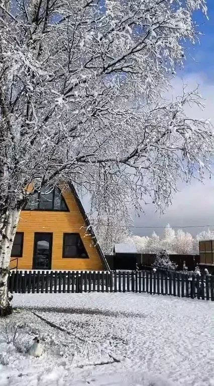 Дом в Московская область, Волоколамский муниципальный округ, д. ... - Фото 1