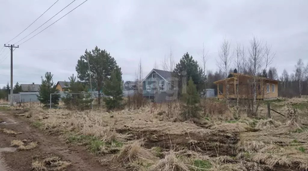 Участок в Ярославская область, Некрасовский муниципальный округ, д. ... - Фото 2