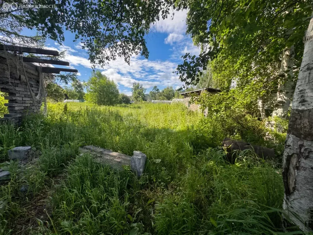 Участок в Камчатский край, Елизовский муниципальный округ, садовое ... - Фото 1