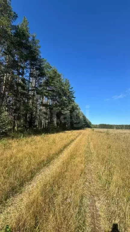 Участок в Нижегородская область, Балахнинский муниципальный округ, д. ... - Фото 1