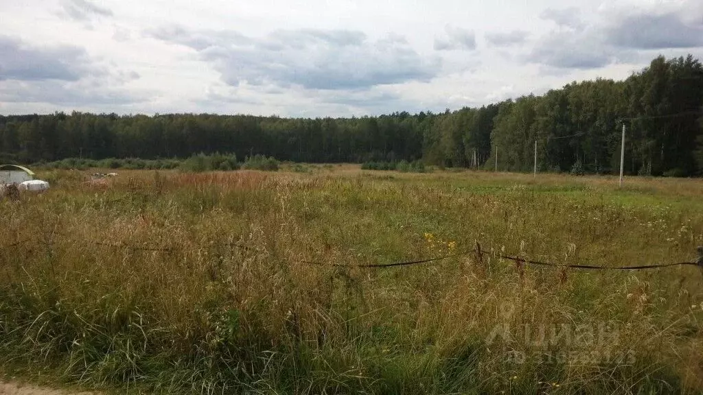 Участок в Владимирская область, Судогодский район, Лавровское ... - Фото 1