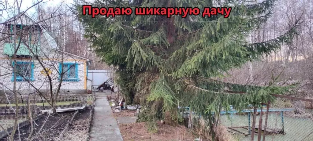 Дом в Брянская область, Брянск пос. Чайковичи,  (60 м) - Фото 1