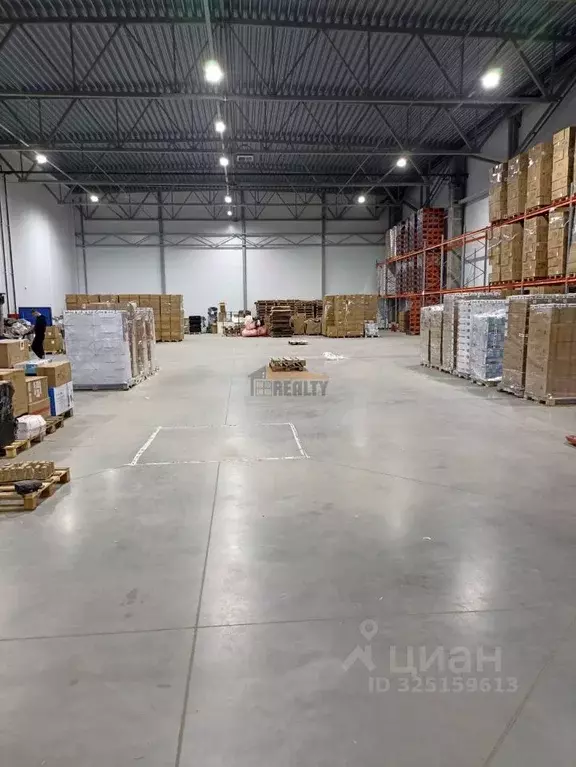 Склад в Московская область, Домодедово городской округ, д. Заболотье ... - Фото 2