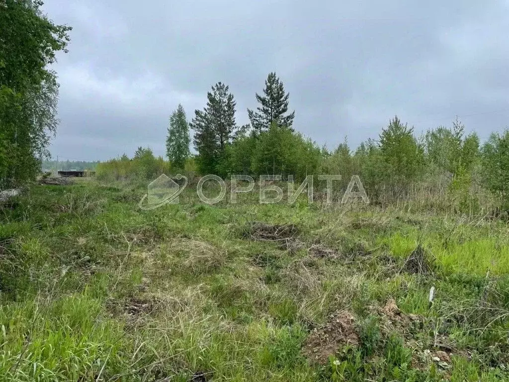 Участок в Тюменская область, Нижнетавдинский район, с. Тюнево  (6.0 ... - Фото 1