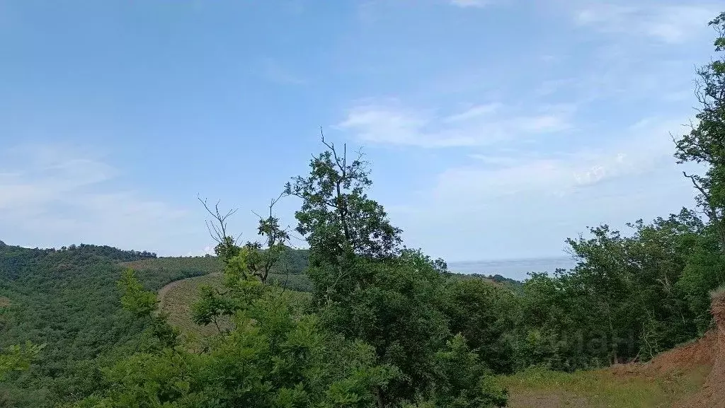 Участок в Крым, Алушта городской округ, с. Малый Маяк ул. ... - Фото 0