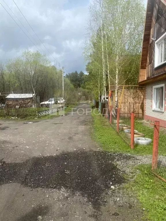 Участок в Новосибирская область, Новосибирский район, Барышевский ... - Фото 1