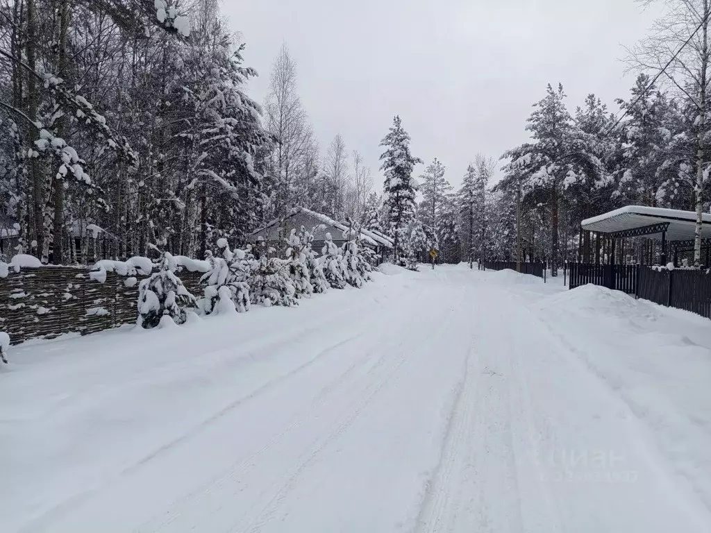 Участок в Ярославская область, Переславль-Залесский муниципальный ... - Фото 2
