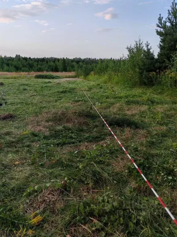 Участок в Нижегородская область, Павлово пос. Восточный,  (14.0 сот.) - Фото 0