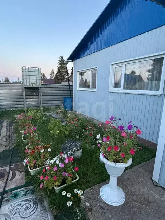 Дом в Ямало-Ненецкий АО, Муравленко Дружба СНТ, пер. Лесной, 15 (61 м) - Фото 2