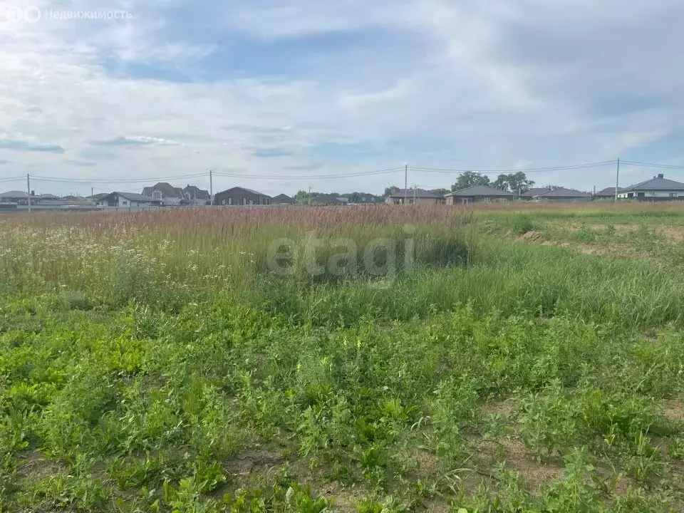 Участок в Московская область, городской округ Коломна, деревня ... - Фото 2