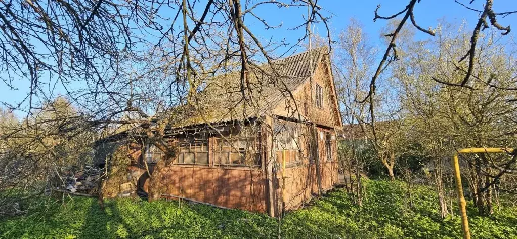 Участок в Санкт-Петербург пос. Саперный, Мгинская ул., 15 (10.48 сот.) - Фото 1