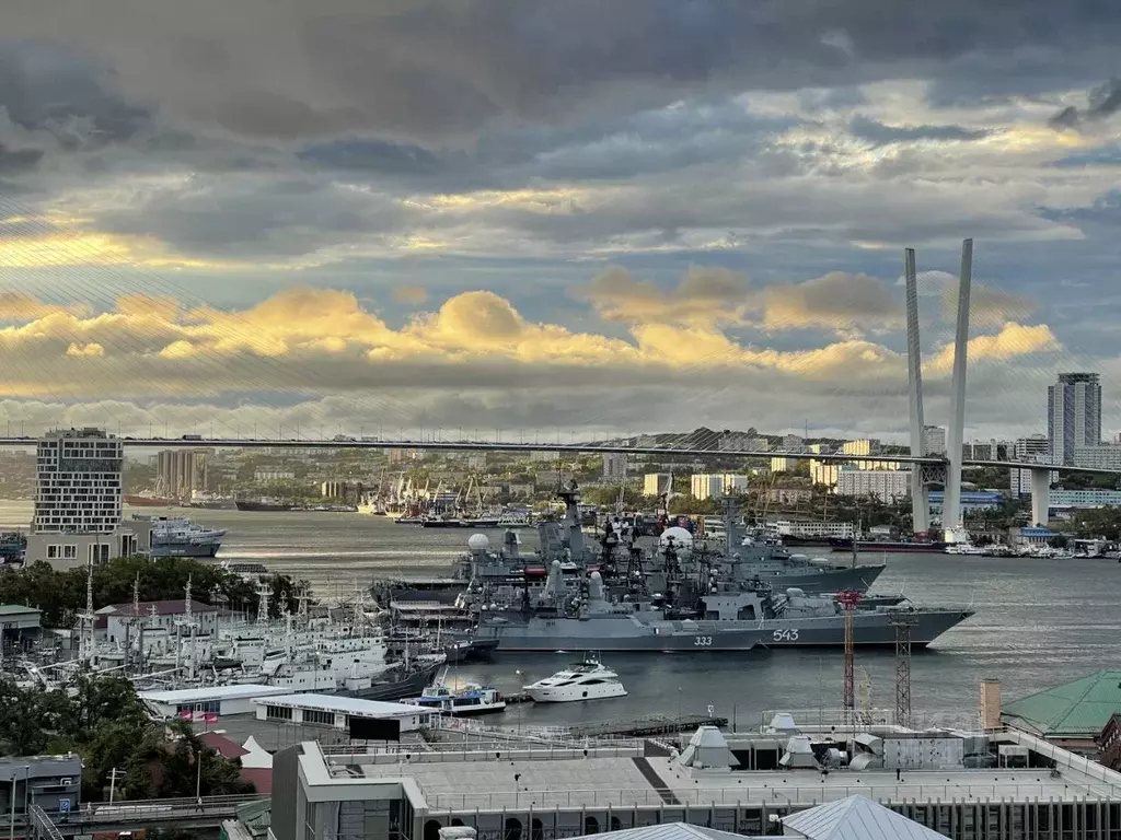 4-к кв. Приморский край, Владивосток Алеутская ул., 17 (103.2 м) - Фото 2