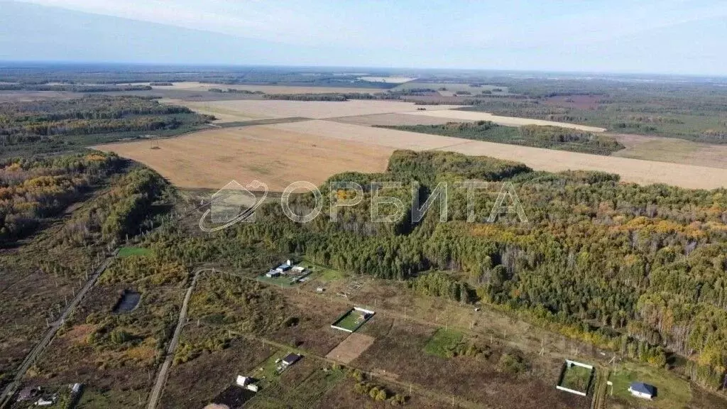 Участок в Тюменская область, Тюменский район, с. Кулига ул. ... - Фото 1