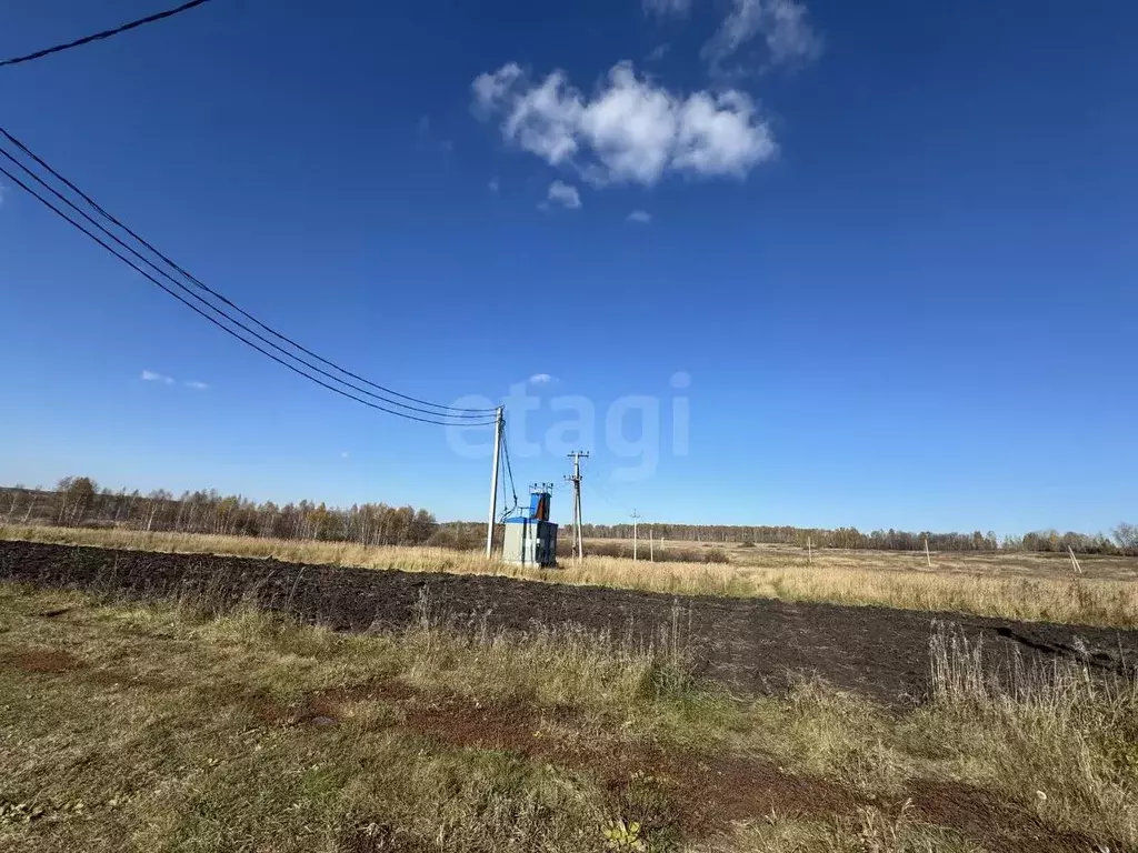 Участок в Курганская область, Шадринский муниципальный округ, с. Ключи ... - Фото 0