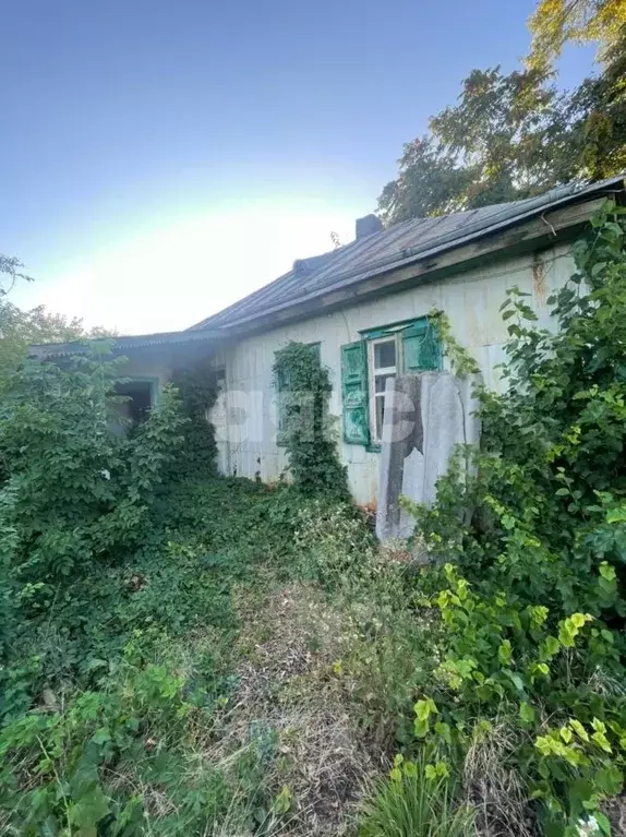 Участок в Краснодарский край, Новокубанский район, Бесскорбненское ... - Фото 1