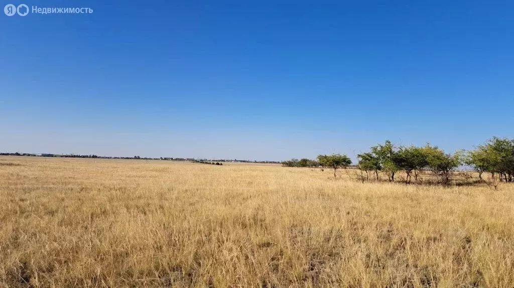 Участок в Волгоград, территория село Песчанка (420 м) - Фото 0