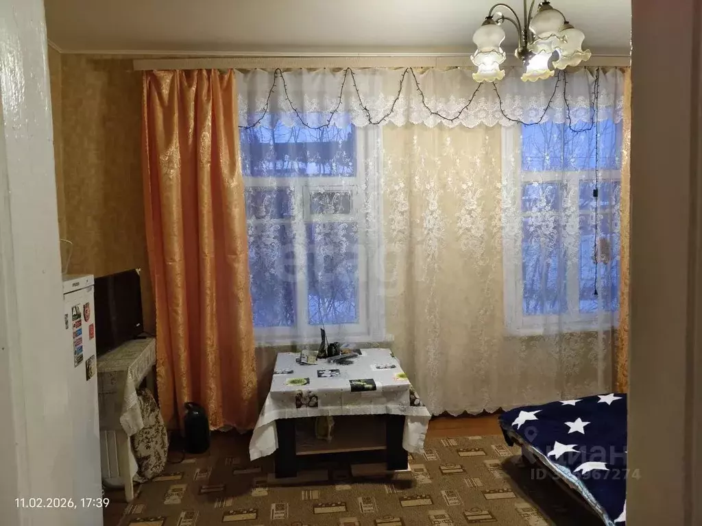 1-к кв. Воронежская область, Борисоглебск Дубровинская ул., 55 (25.0 ... - Фото 1