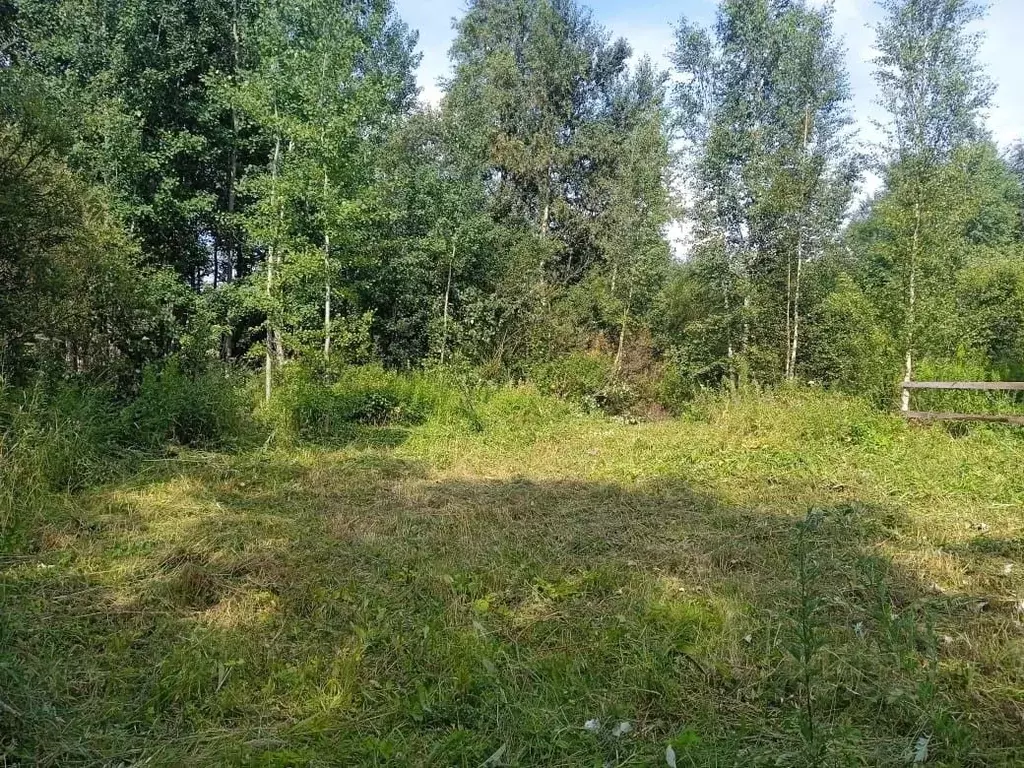 Участок в Санкт-Петербург Дачное Электроавтоматика СНТ, аллея Речная ... - Фото 1