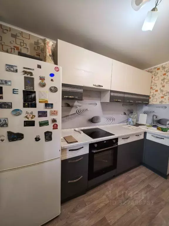 2-к кв. Алтайский край, Барнаул ул. Гоголя, 60 (48.0 м) - Фото 2