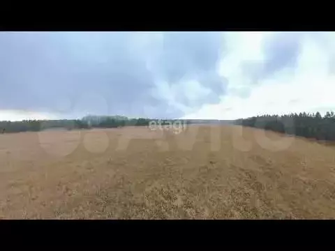 Участок 10 сот. (ИЖС) - Фото 1