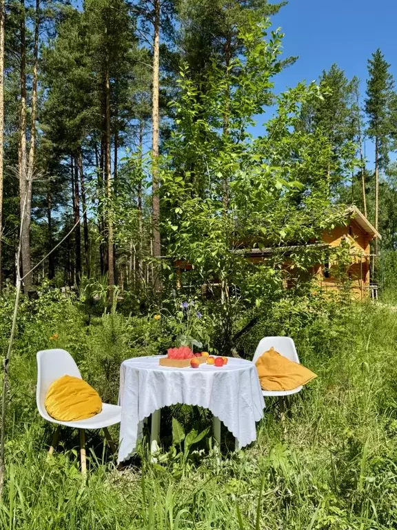 Участок в Иркутская область, Иркутский муниципальный округ, ... - Фото 1