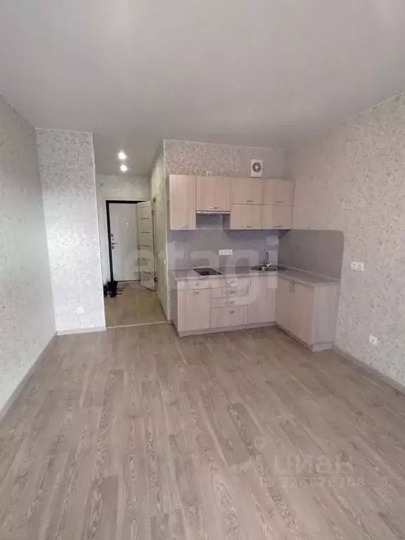 Студия Псковская область, Псковский район, Писковичская волость, д. ... - Фото 2