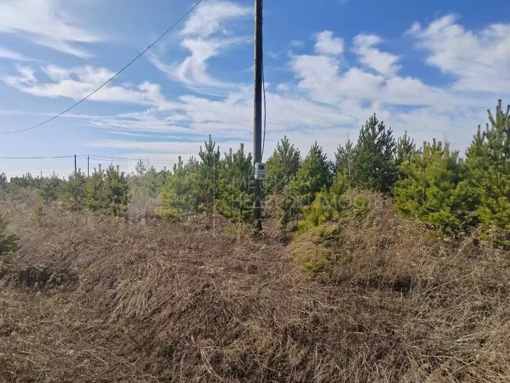 Участок в Тюменская область, Тюменский район, с. Каменка  (8.0 сот.) - Фото 0