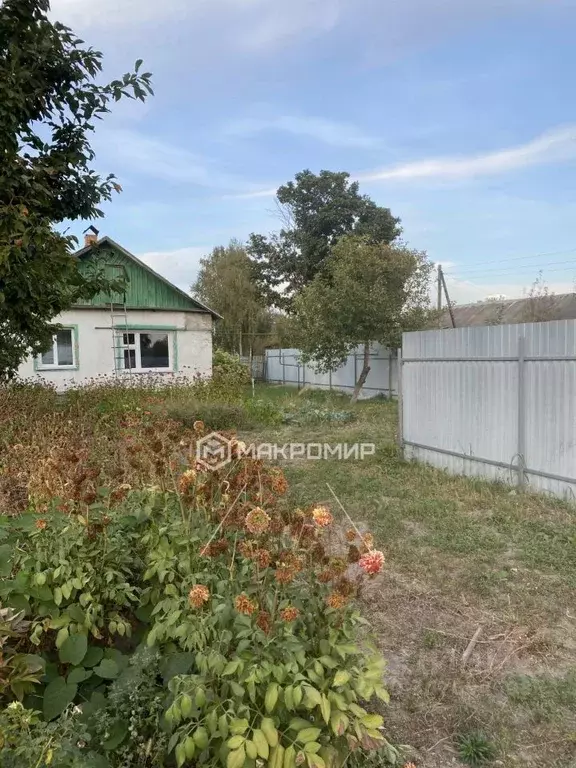 Дом в Брянская область, Навлинский район, Чичковское с/пос, д. ... - Фото 0