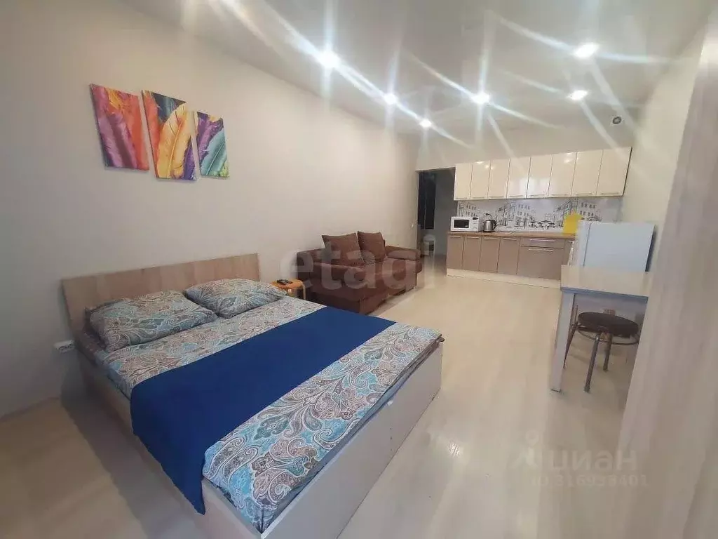 Студия Бурятия, Улан-Удэ ул. Смолина, 67к1 (27.9 м) - Фото 1