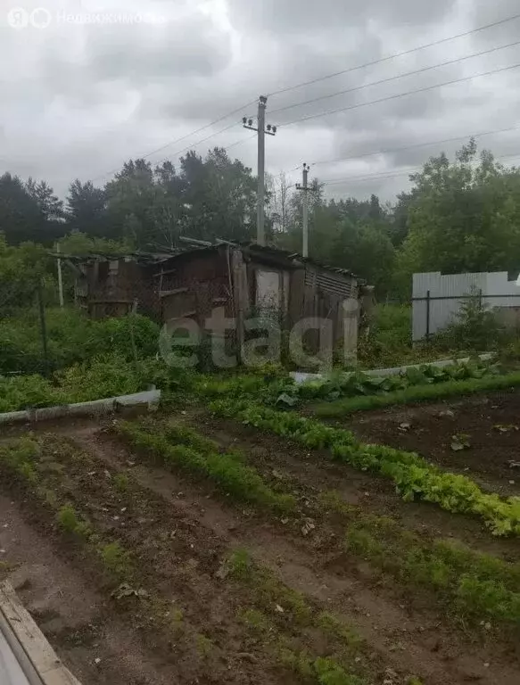 Участок в деревня Егнышёвка, Садовая улица (6 м) - Фото 2