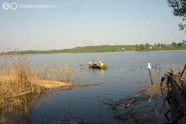 Участок в Псковская область, Плюсский муниципальный округ, деревня ... - Фото 0
