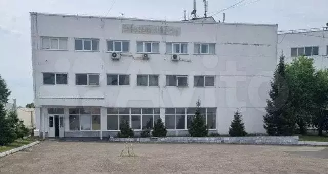 Общепит, пищевое производство, 230 м - Фото 1