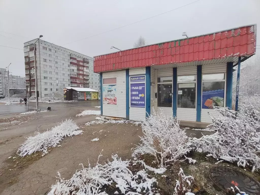 Помещение свободного назначения в Коми, Ухта ул. Сенюкова, 57 (35 м) - Фото 2