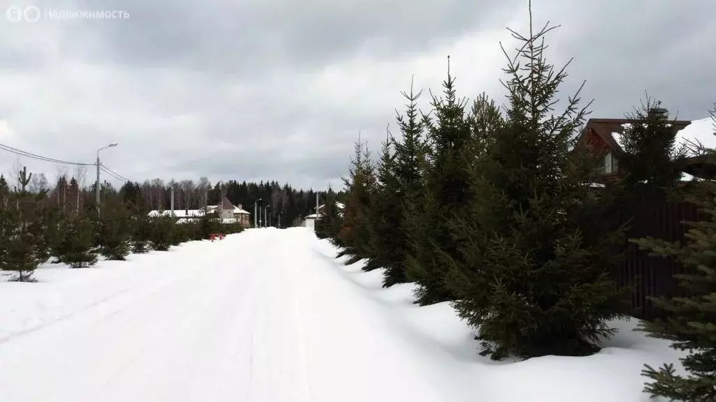 Участок в Московская область, городской округ Серпухов, ДНП Ящерицын ... - Фото 1