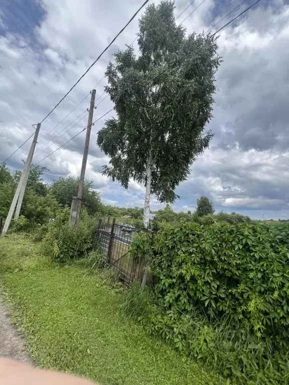 Участок в Кемеровская область, Новокузнецкий муниципальный округ, с. ... - Фото 2