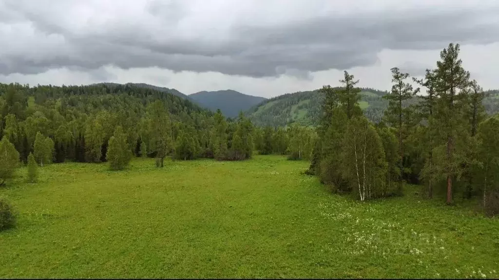 Участок в Алтай, Чемальский район, Элекмонарское с/пос, Седьмое Небо ... - Фото 1