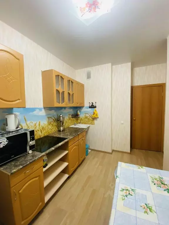 1-к кв. Пермский край, Пермь ул. Сигаева, 10Б (33.5 м) - Фото 2