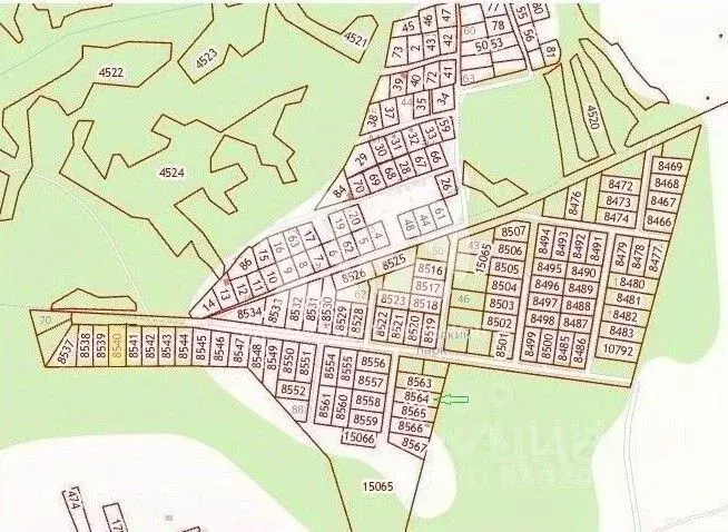 Участок в Новосибирская область, Новосибирский район, Станционный ... - Фото 1