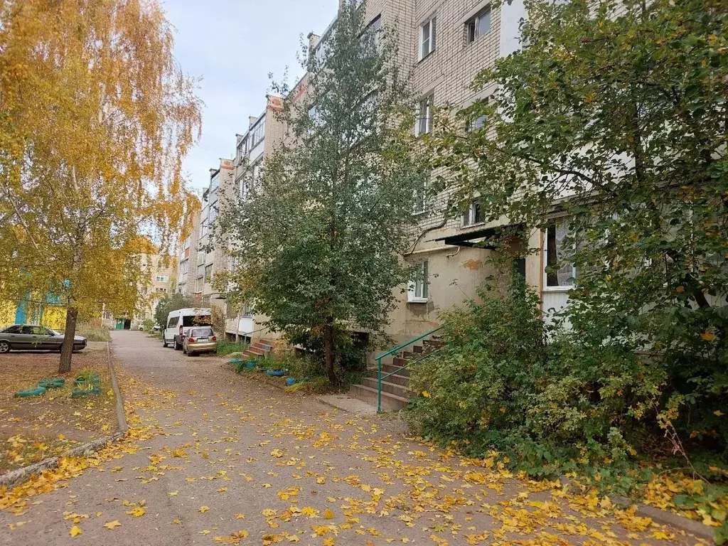 2-к кв. Мордовия, с. Лямбирь ул. 40 лет Победы, 22 (51.8 м) - Фото 2