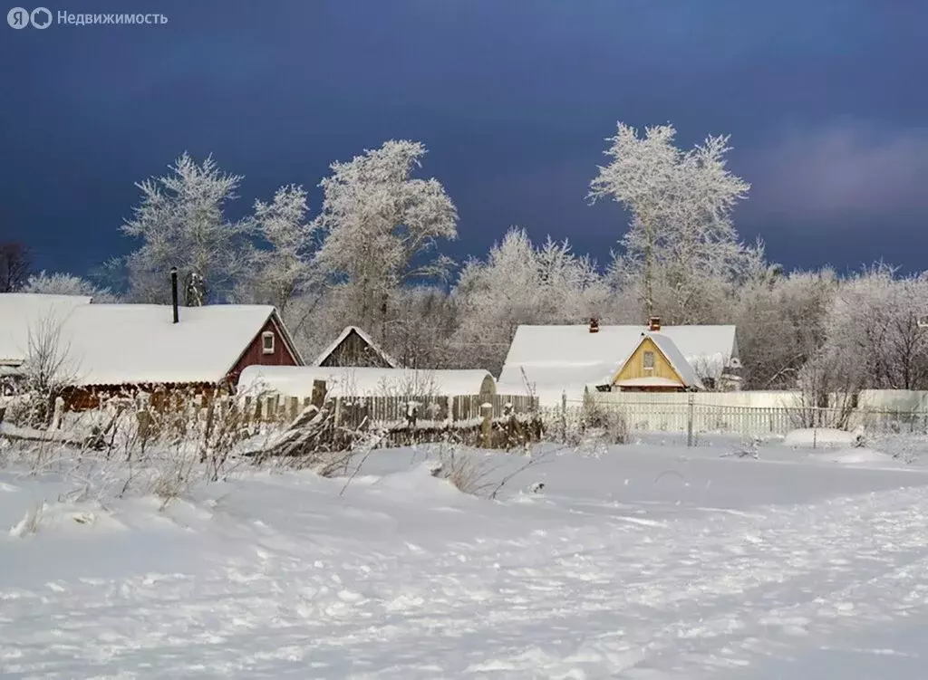 Участок в Александровский район, муниципальное образование Каринское, ... - Фото 1