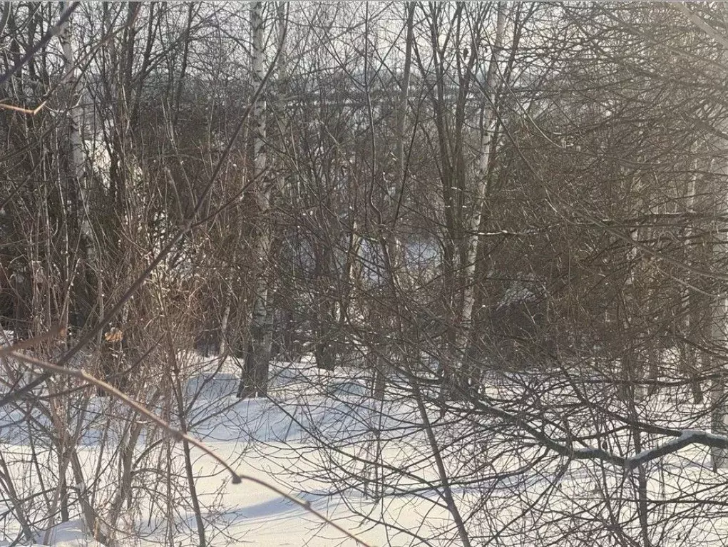 Участок в Московская область, Кашира городской округ, д. Кореньково  ... - Фото 2