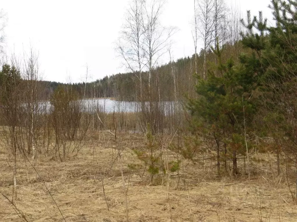 Участок в Карелия, Лахденпохский муниципальный округ, район поселка ... - Фото 1