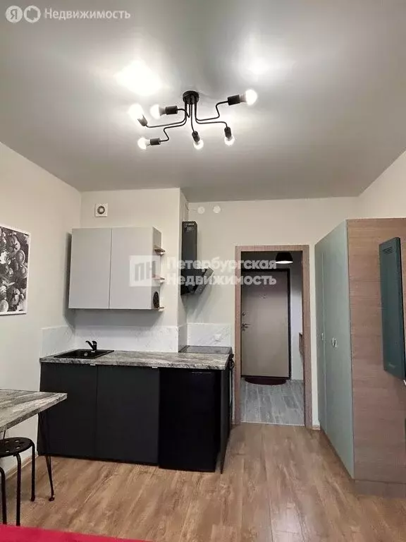 Квартира-студия: Санкт-Петербург, Плесецкая улица, 10 (20.7 м) - Фото 2