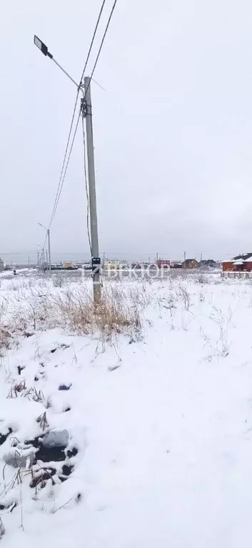 Участок в Костромская область, Кострома Первый кп, проезд Павинский, 1 ... - Фото 2