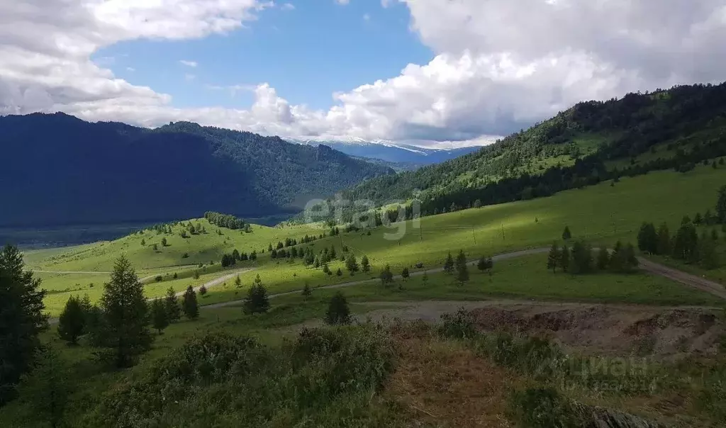 Участок в Алтайский край, Чарышский район, с. Сентелек  (65.0 сот.) - Фото 0