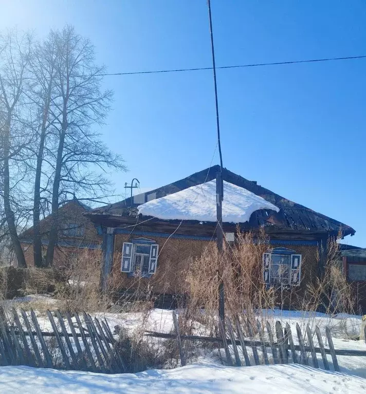 Участок в Алтайский край, Барнаул городской округ, Поселок Казенная ... - Фото 0