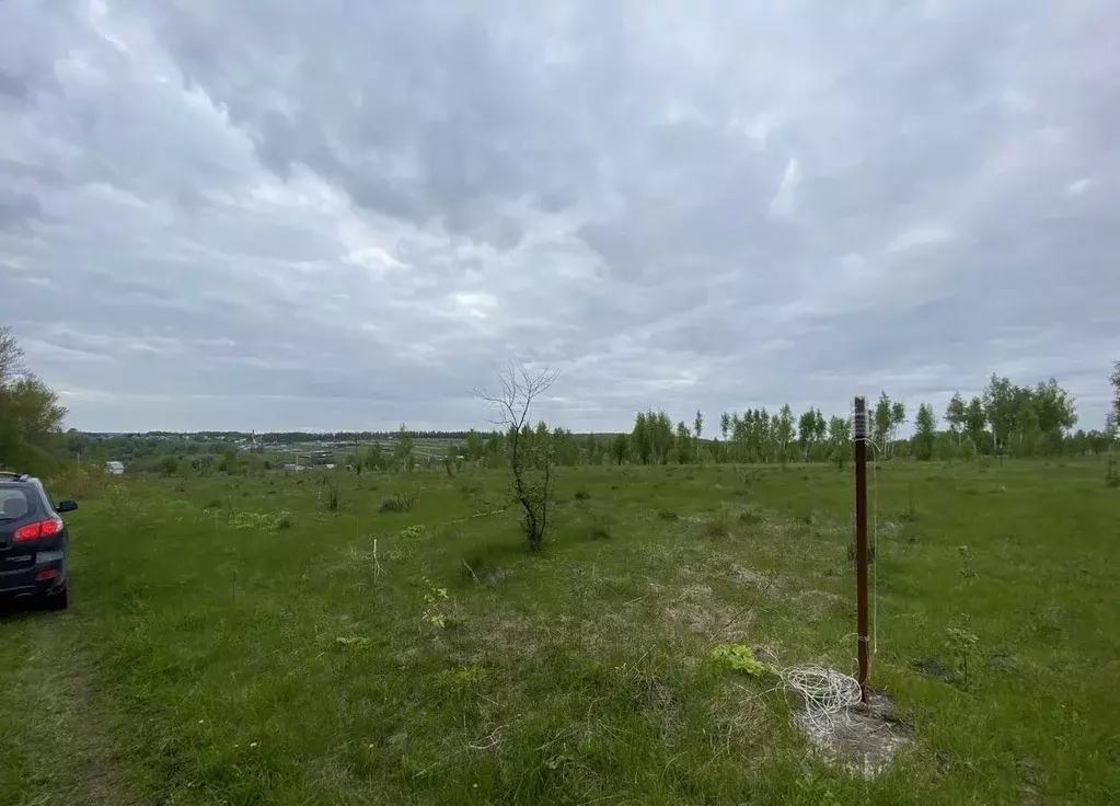 Участок в Тульская область, Тула городской округ, с. Торхово  (13.0 ... - Фото 2