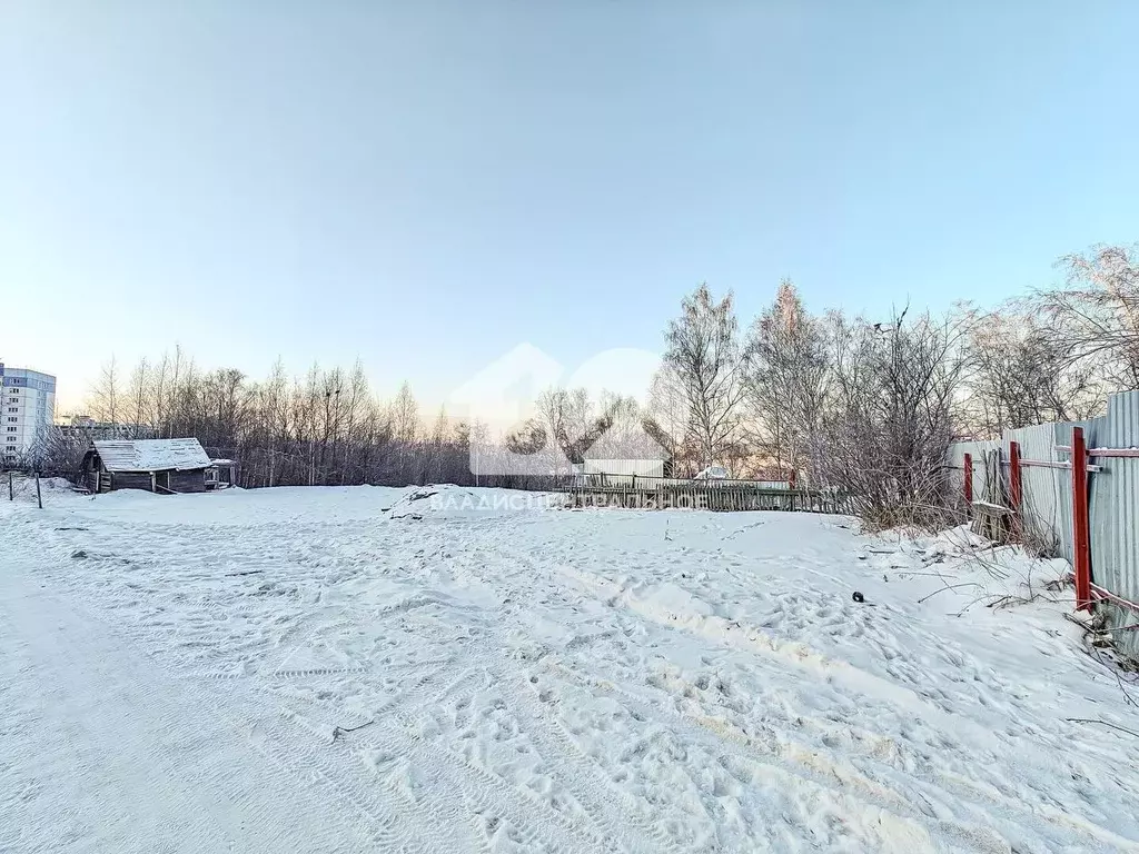 Участок в Новосибирская область, Новосибирск Комета-Березка садовое ... - Фото 0