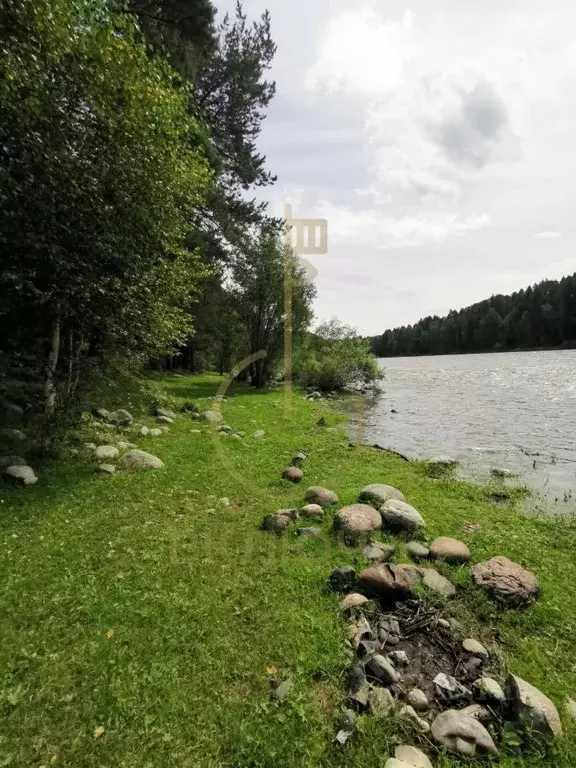 Участок в Алтай, Турочакский район, с. Тулой  (556.06 сот.) - Фото 1